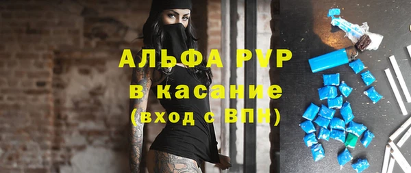 молекула духа Ростов