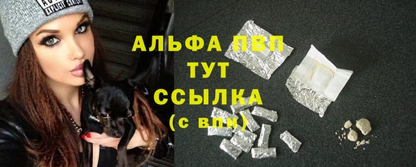 молекула духа Ростов