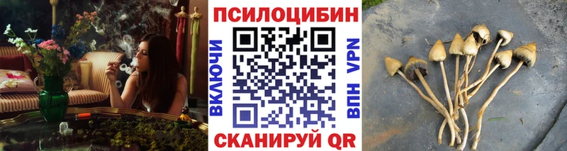 Галлюциногенные грибы ЛСД  Емва 